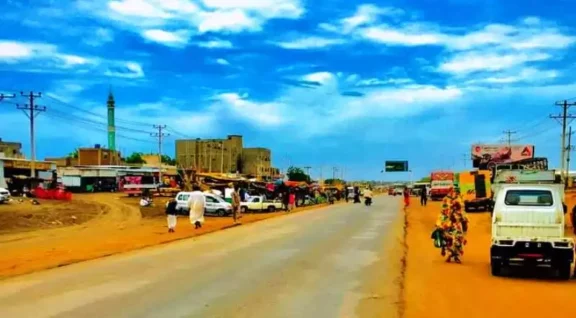 قرية سودانية تعيش رعباً بعد هجوم كلاب ضالة